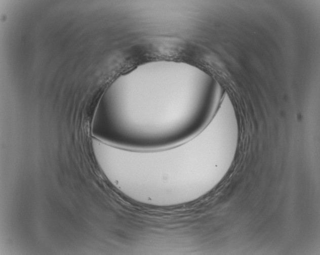 X0000067890425200604131018