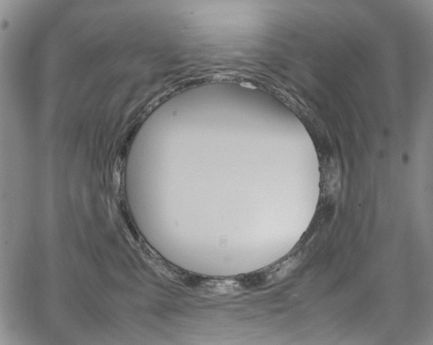 X0000067890427200604131018