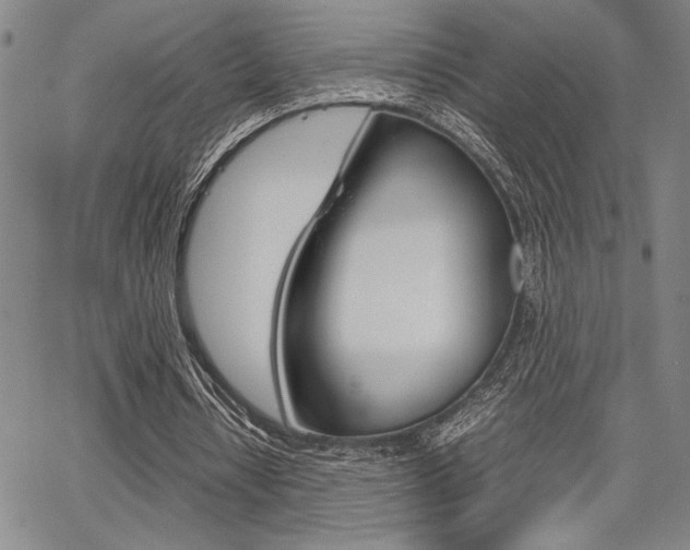 X0000067890434200604131017