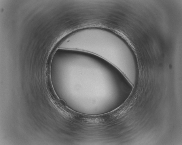 X0000067890439200604131017