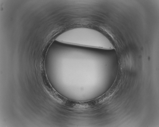 X0000067890455200604131018