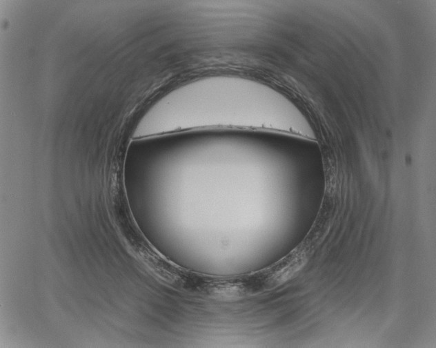 X0000067890456200604131018