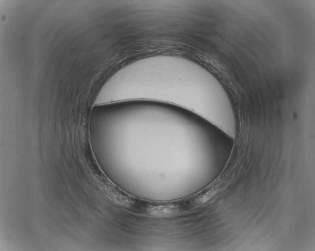 X0000067890461200604131018