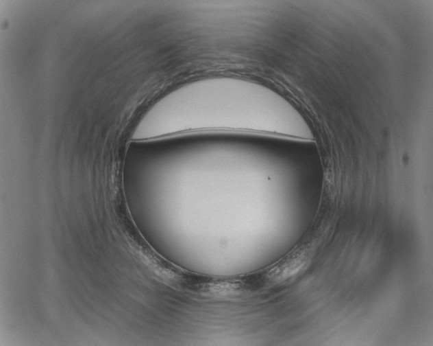X0000067890462200604131018