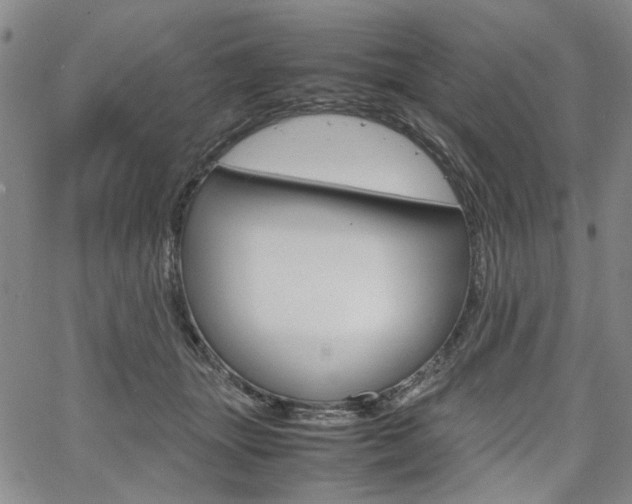X0000067890463200604131018