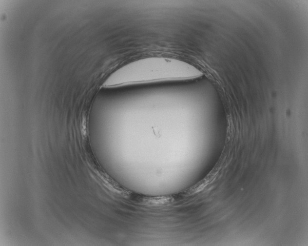 X0000067890479200604131018