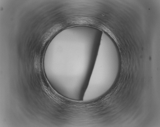 X0000067890482200604131017