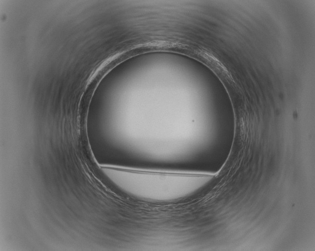 X0000067890484200604131017
