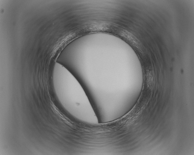 X0000067890490200604131017