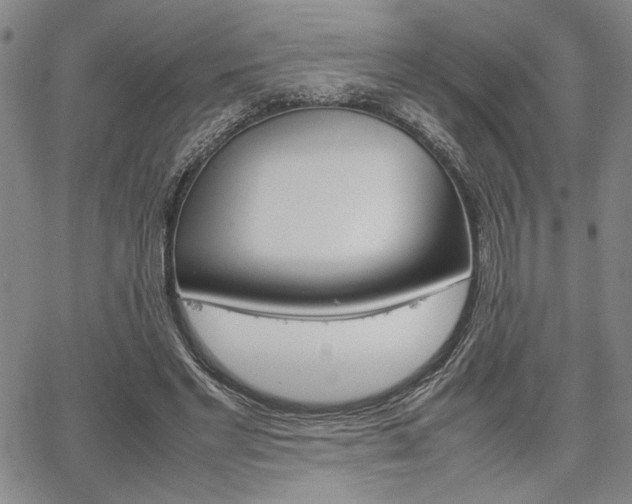 X0000067890493200604131017