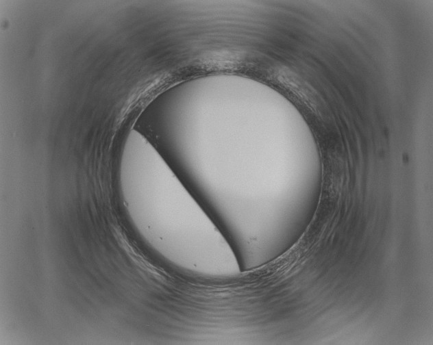 X0000067890494200604131017