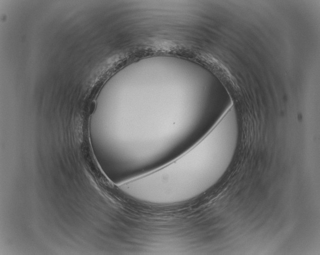 X0000067890496200604131017