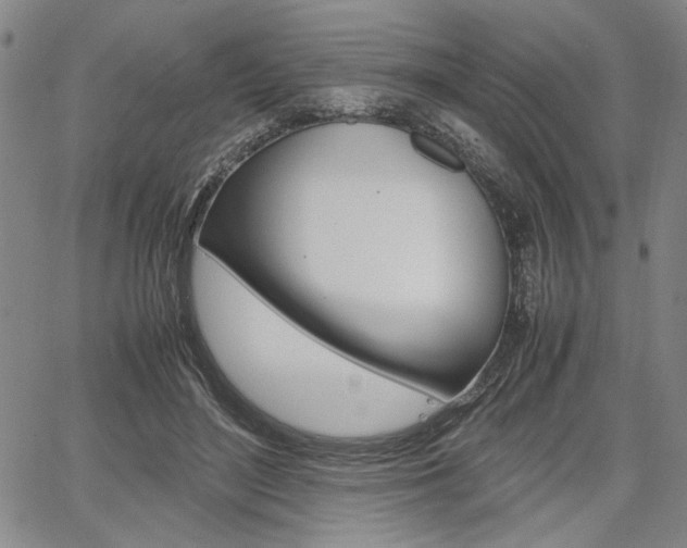 X0000067890500200604131017