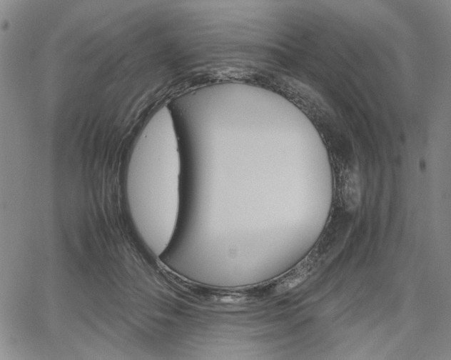 X0000067890506200604131017