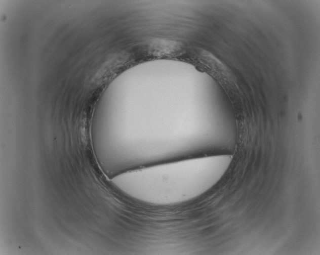 X0000067890510200604131017
