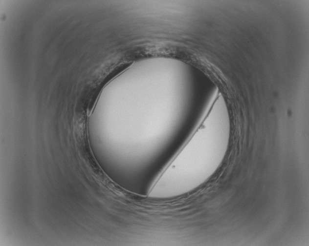 X0000067890513200604131017