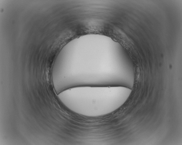 X0000067890514200604131017