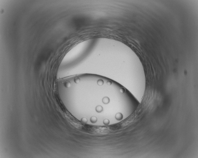 X0000067890527200604131016