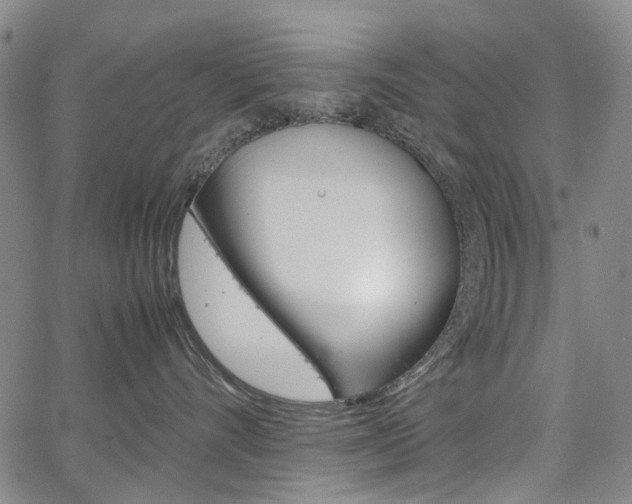 X0000067890528200604131016