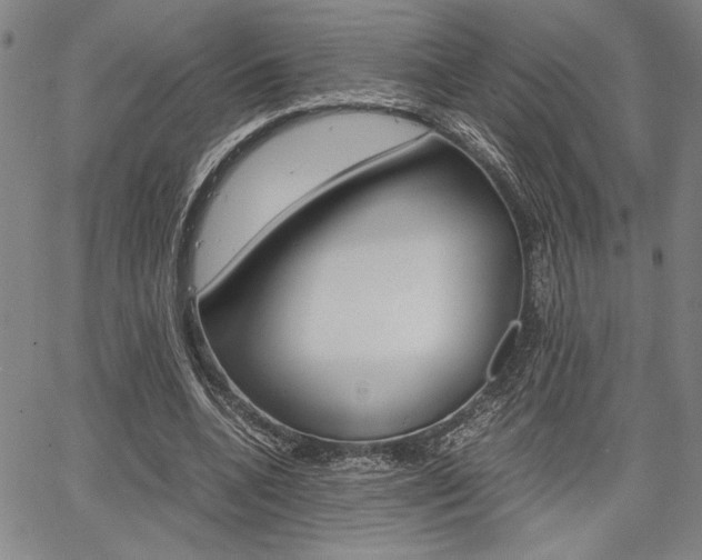 X0000067890536200604131016