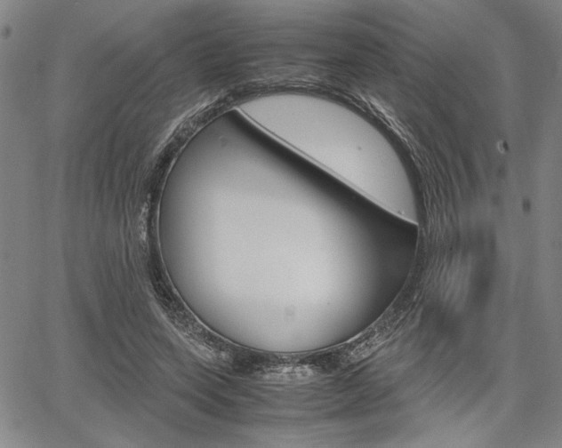 X0000067890543200604131016