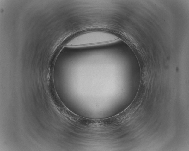 X0000067890544200604131016
