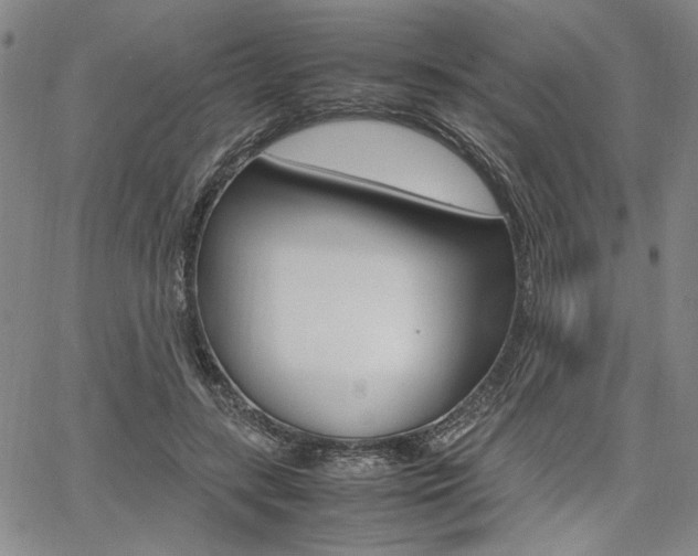 X0000067890547200604131016