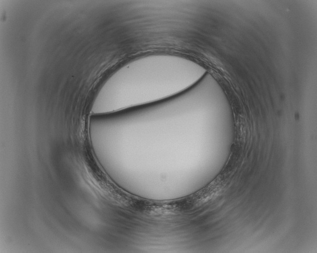 X0000067890550200604131016