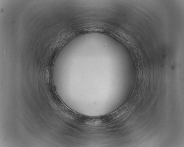 X0000067890551200604131016