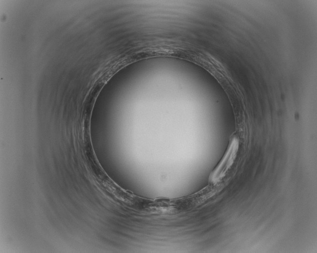 X0000067890552200604131016