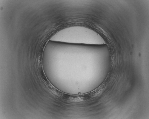 X0000067890553200604131016