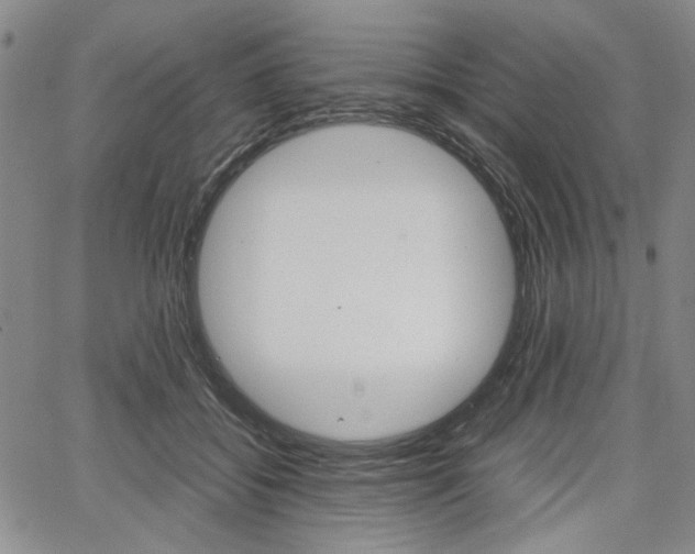X0000067890556200604131016