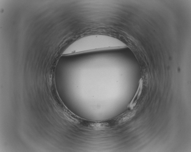 X0000067890558200604131016