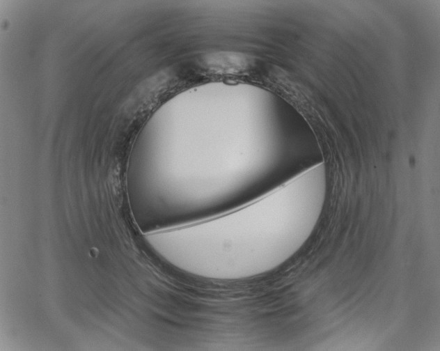 X0000067890559200604131016