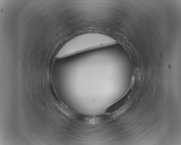 X0000067890564200604131016