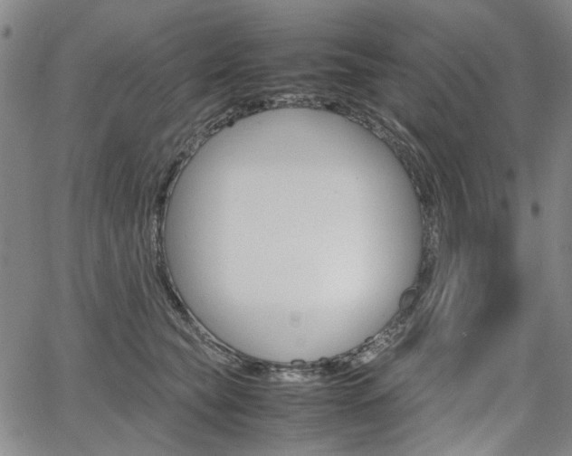X0000067890565200604131016
