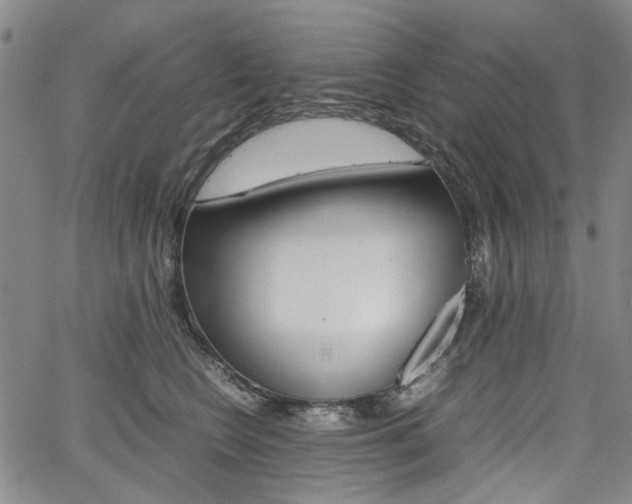 X0000067890566200604131016