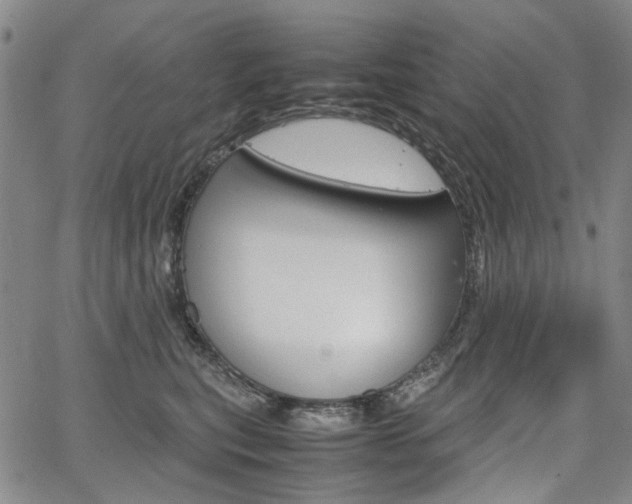 X0000067890567200604131016