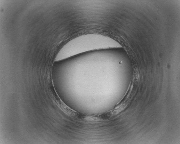X0000067890568200604131016