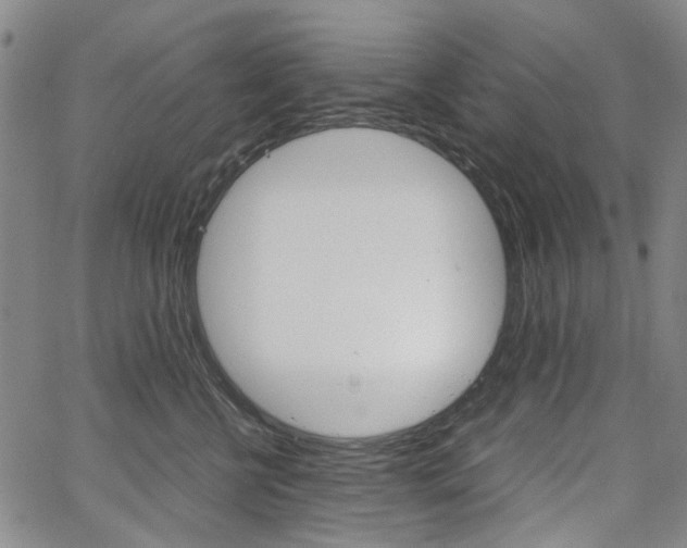 X0000067890570200604131016
