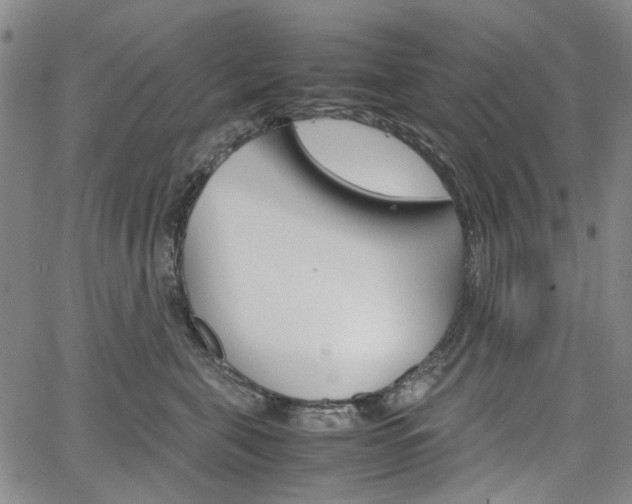 X0000067890571200604131016