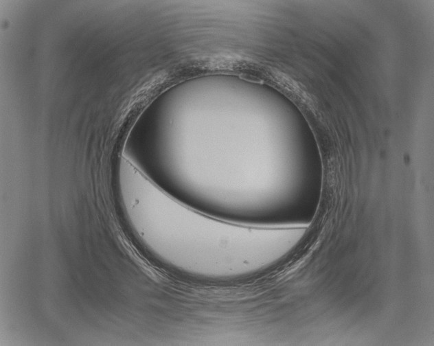 X0000067890589200604131015