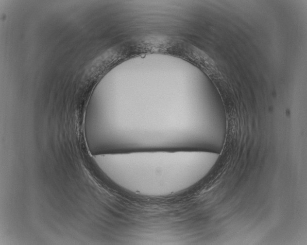 X0000067890594200604131015