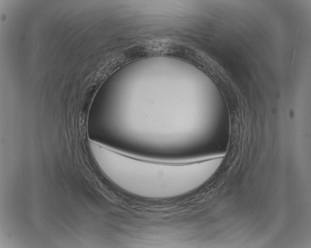 X0000067890601200604131015