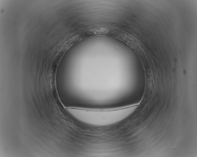 X0000067890604200604131015