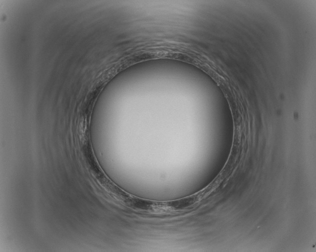 X0000067890605200604131015