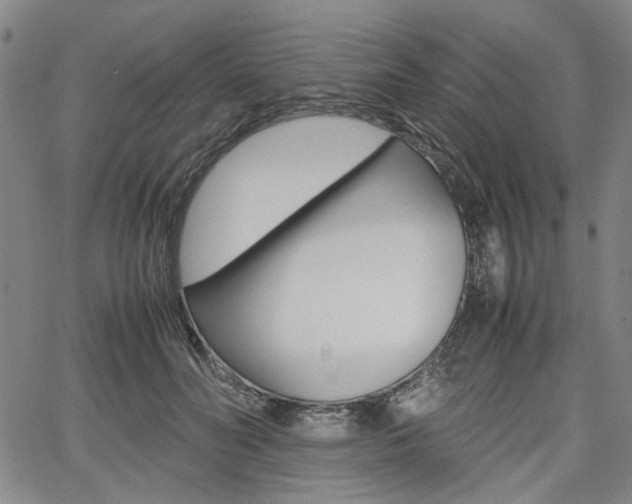 X0000067890606200604131015