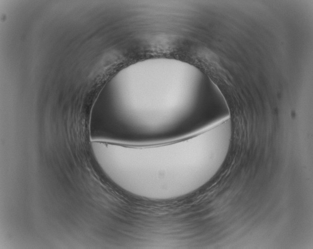 X0000067890608200604131015