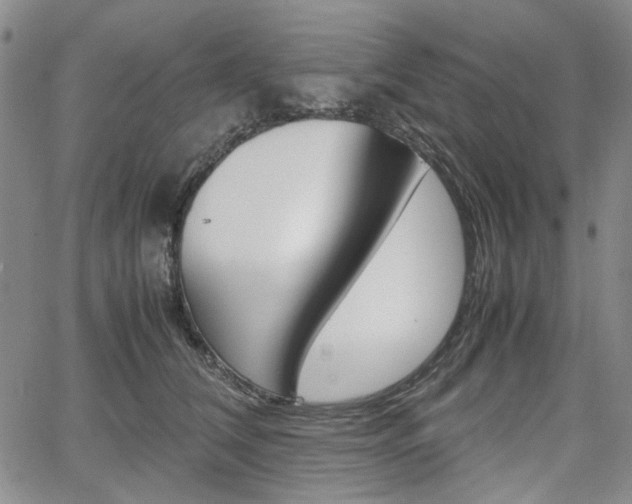 X0000067890612200604131015