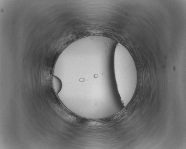 X0000067890614200604131015